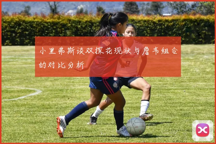 小里弗斯谈双探花现状与詹韦组合的对比分析