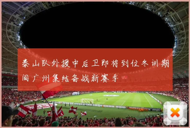 泰山队外援中后卫即将到位冬训期间广州集结备战新赛季