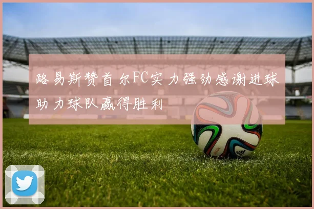 路易斯赞首尔FC实力强劲感谢进球助力球队赢得胜利