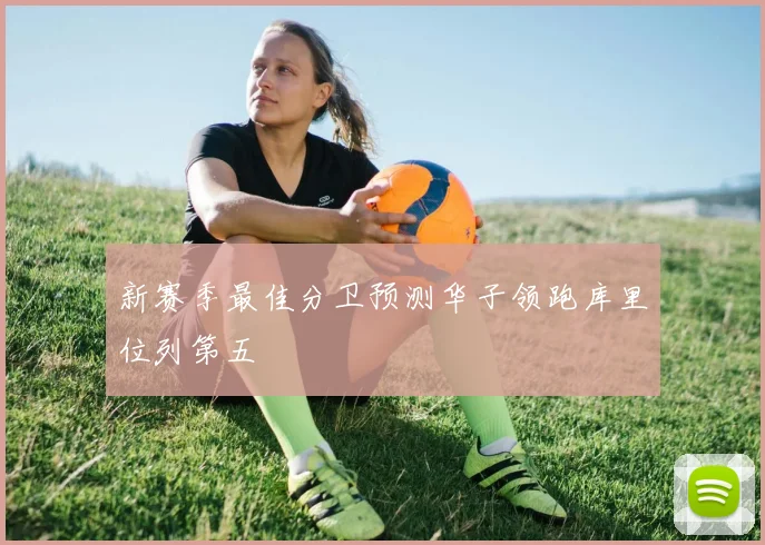 新赛季最佳分卫预测华子领跑库里位列第五